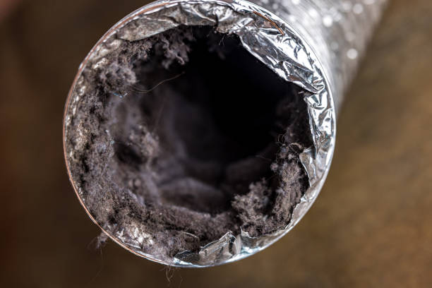 Best HVAC System Cleaning  in Union City, TN